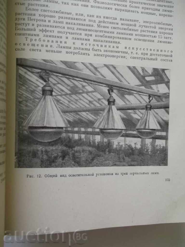 Auction Flower Production - G. Kiselev 1964 Auction Flower Production - G. Kiselev 1964
