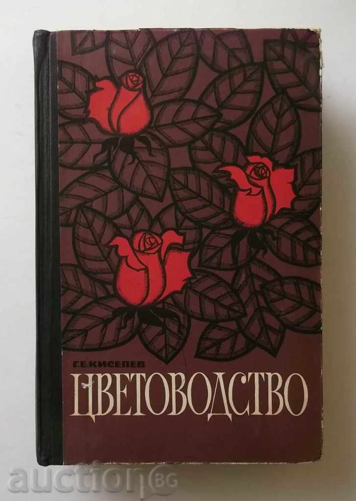 Flower - G. F. Kiselev 1964