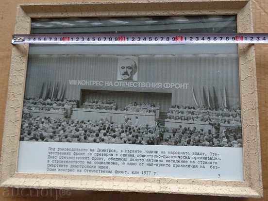 Photo, photography - 5 Photo, photography - 5