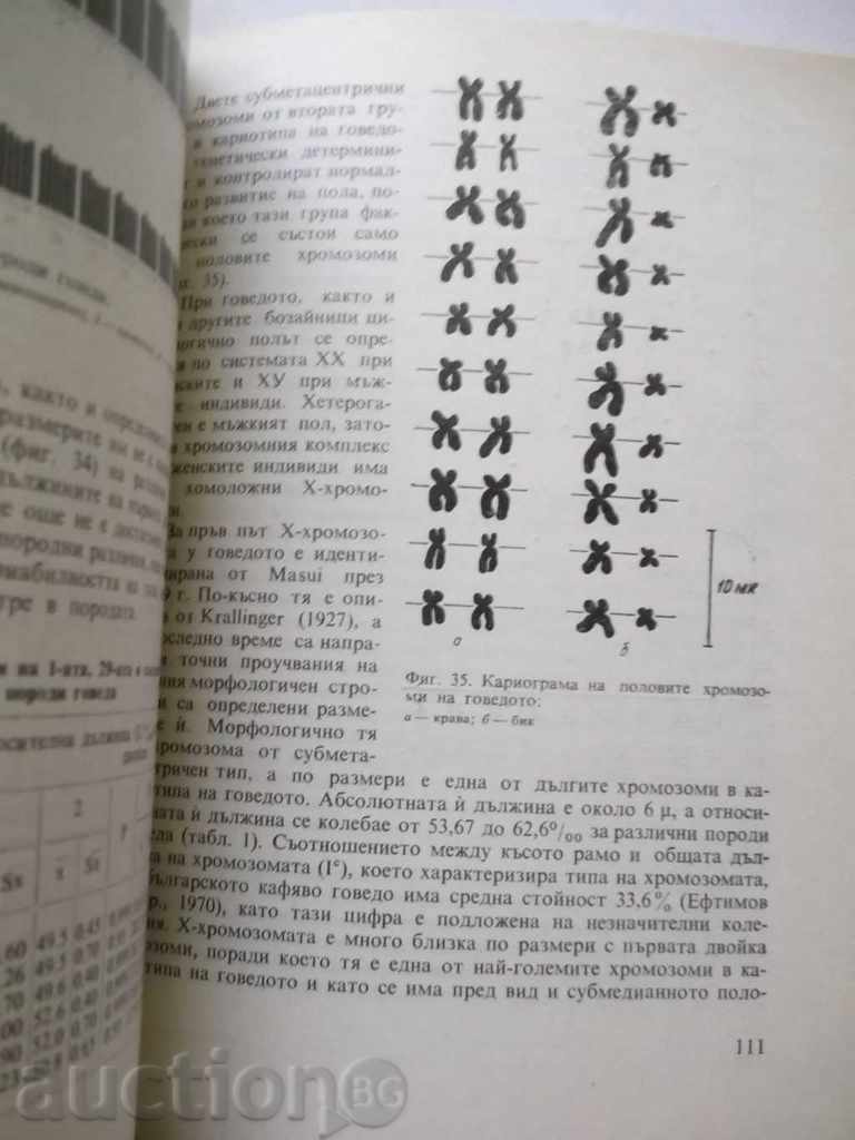 Auction Cytogenetics of Farm Animals - G. Konstantinov Auction Cytogenetics of Farm Animals - G. Konstantinov