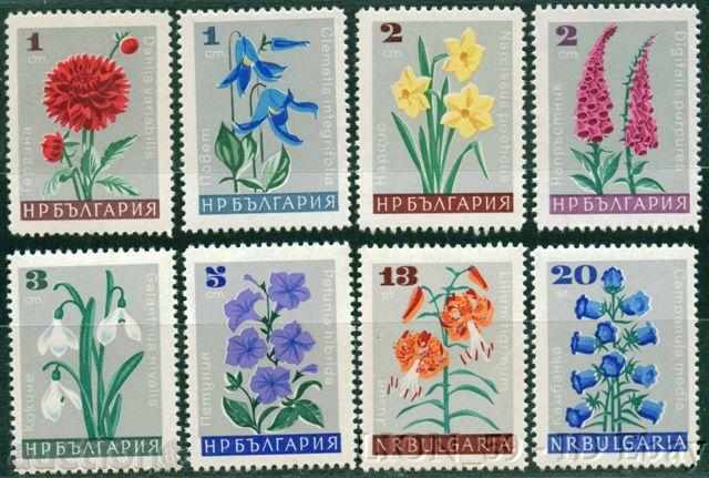 1745 λουλούδια Βουλγαρία 1966 Garden **