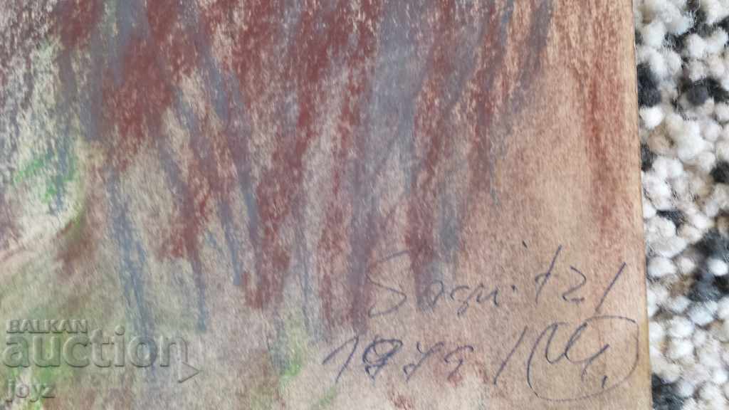 TABLOU MAL pastel / Maria Mejdurecka - 7