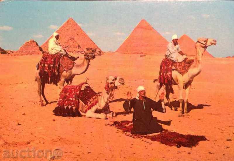 Giza - carte poștală