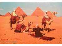 Giza - carte poștală