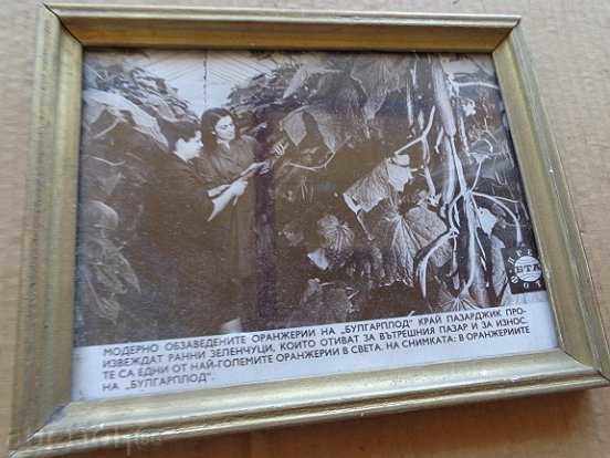 Poster, prospectus, poster, advertisement, propaganda with price 38.00 BGN | € 19.43 Poster, prospectus, poster, advertisement, propaganda with price 38.00 BGN | € 19.43