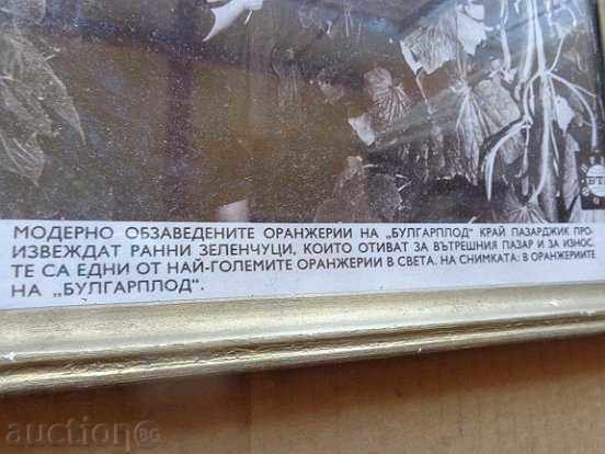 Auction Poster, prospectus, poster, advertisement, propaganda Auction Poster, prospectus, poster, advertisement, propaganda