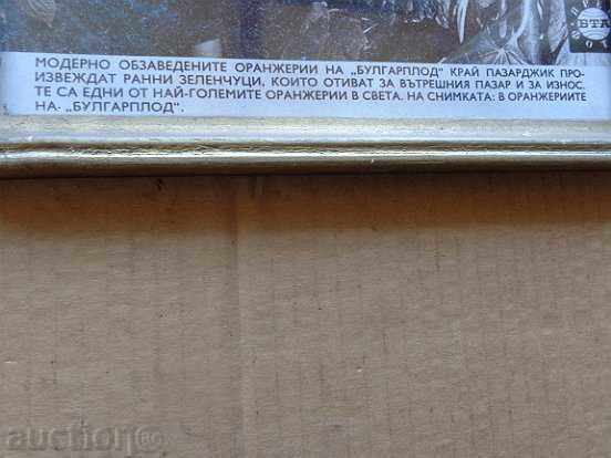 Delivery of Poster, prospectus, poster, advertisement, propaganda Delivery of Poster, prospectus, poster, advertisement, propaganda