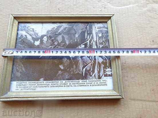 Poster, prospectus, poster, advertisement, propaganda - 5 Poster, prospectus, poster, advertisement, propaganda - 5