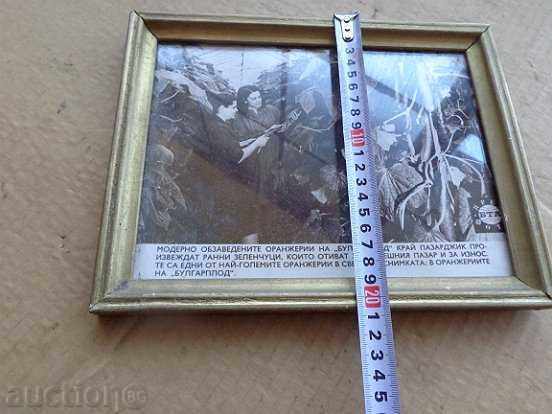 Poster, prospectus, poster, advertisement, propaganda - 6 Poster, prospectus, poster, advertisement, propaganda - 6