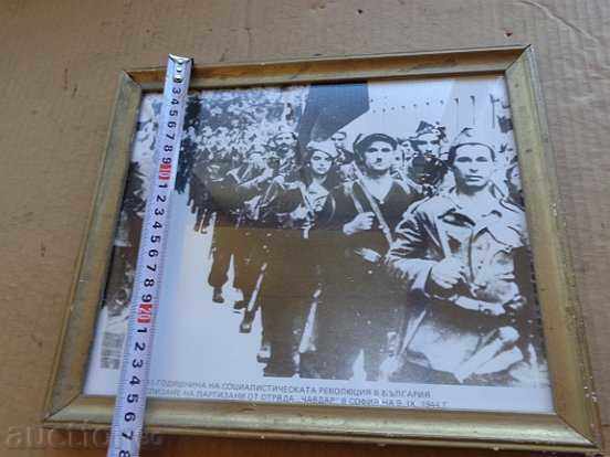 Delivery of Photo, photography, portrait, propaganda