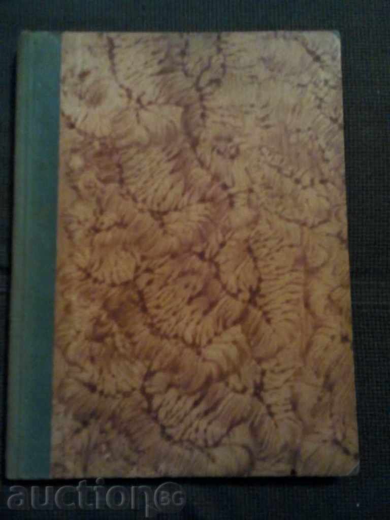 Raphael with price 20.00 BGN | € 10.23 Raphael with price 20.00 BGN | € 10.23