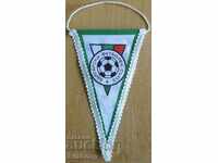Флагче Български футболен съюз