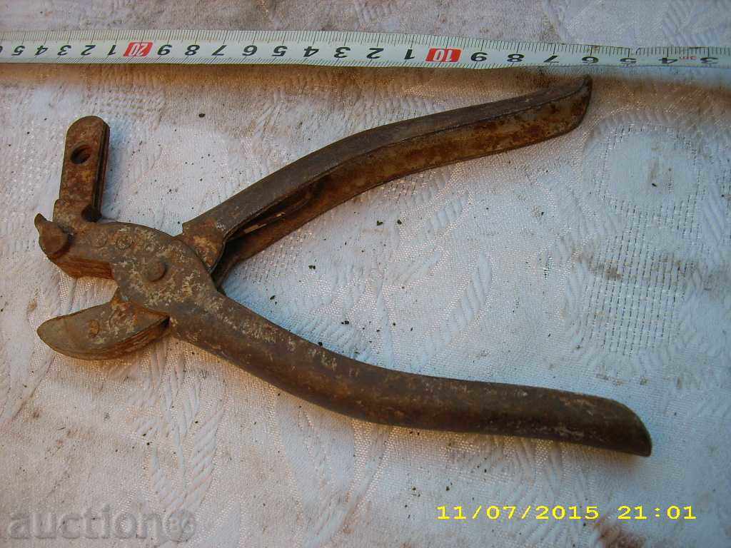 OLD HORSES CHAINS FOR CHORUSES - 5 OLD HORSES CHAINS FOR CHORUSES - 5