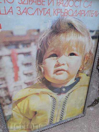 Sat photo framed, portrait, poster, propaganda with price 39.00 BGN | € 19.94 Sat photo framed, portrait, poster, propaganda with price 39.00 BGN | € 19.94