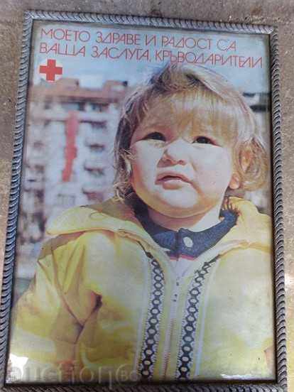 Auction Sat photo framed, portrait, poster, propaganda Auction Sat photo framed, portrait, poster, propaganda