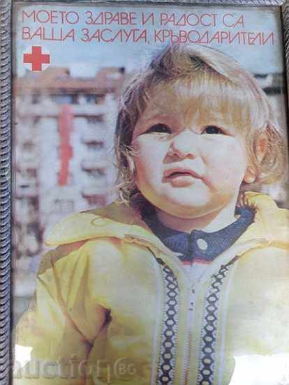 Sat photo framed, portrait, poster, propaganda - 5 Sat photo framed, portrait, poster, propaganda - 5