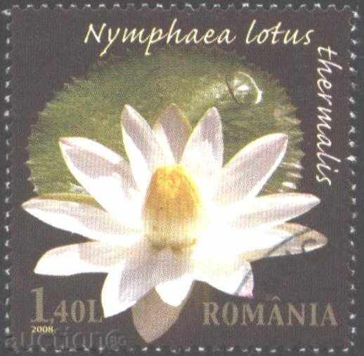 Клеймована марка Флора Цвете Лотос  2008 от Румъния