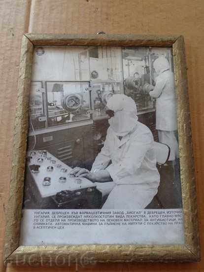 Old framed photo, photography, portrait, propaganda with price 20.00 BGN | € 10.23