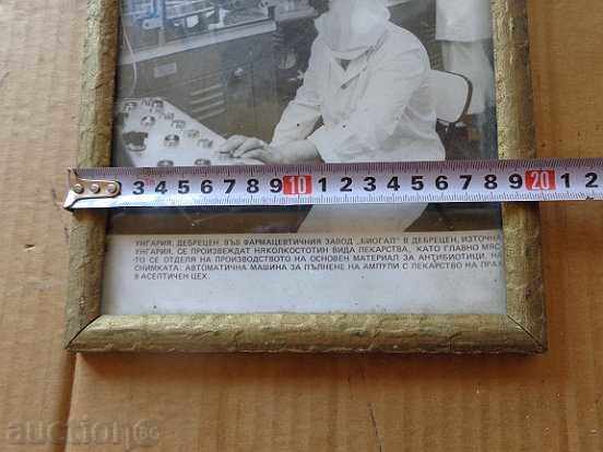 Auction  Old framed photo, photography, portrait, propaganda