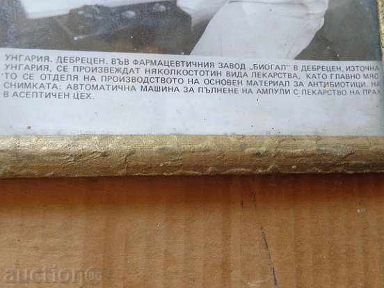 Old framed photo, photography, portrait, propaganda - 6