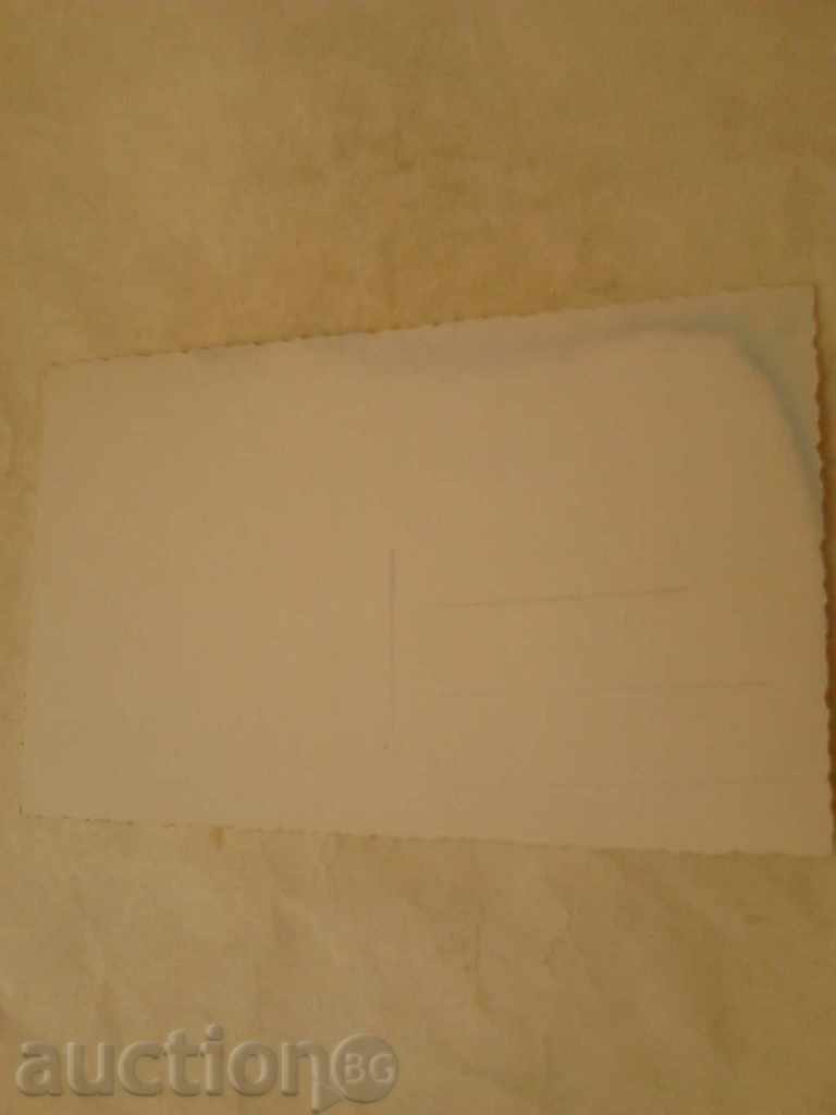 Postcard Sopot Woman's Nest with price 1.85 BGN | € 0.95 Postcard Sopot Woman's Nest with price 1.85 BGN | € 0.95