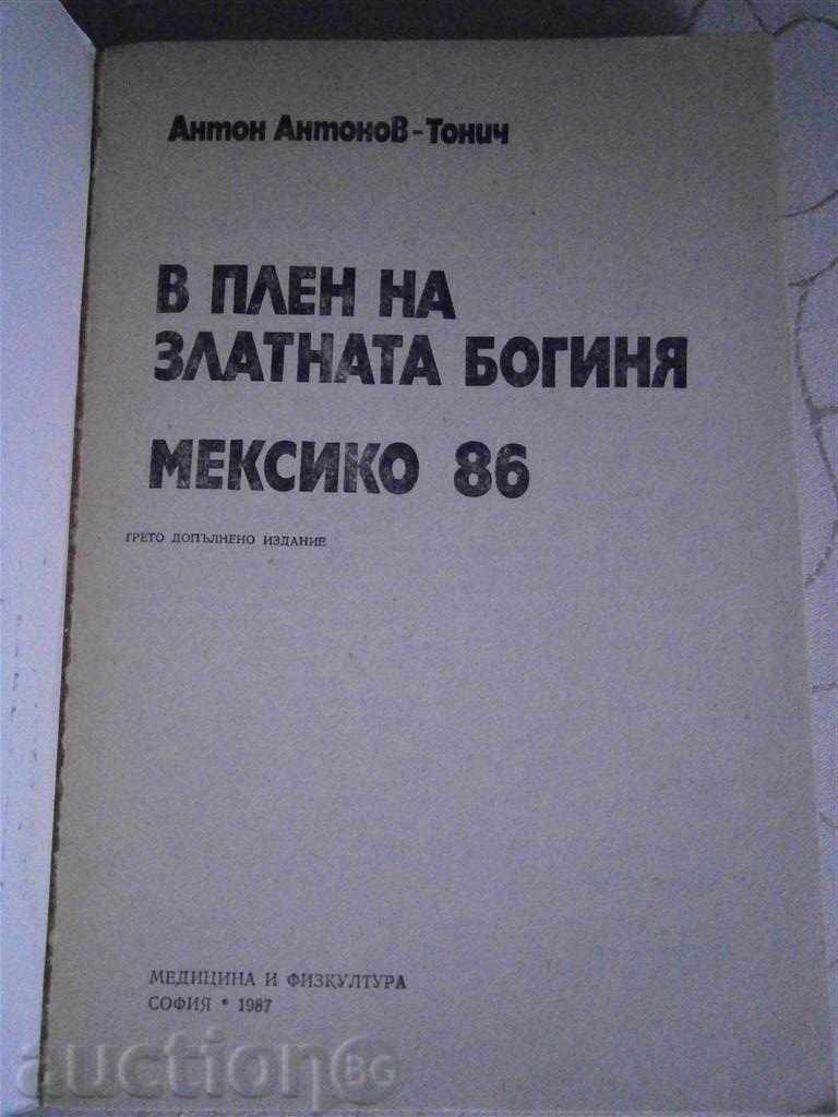 ANTON ANTONOV - IN THE GOLDEN BOGGY PLAN - 1987 with price 5.00 BGN | € 2.56 ANTON ANTONOV - IN THE GOLDEN BOGGY PLAN - 1987 with price 5.00 BGN | € 2.56