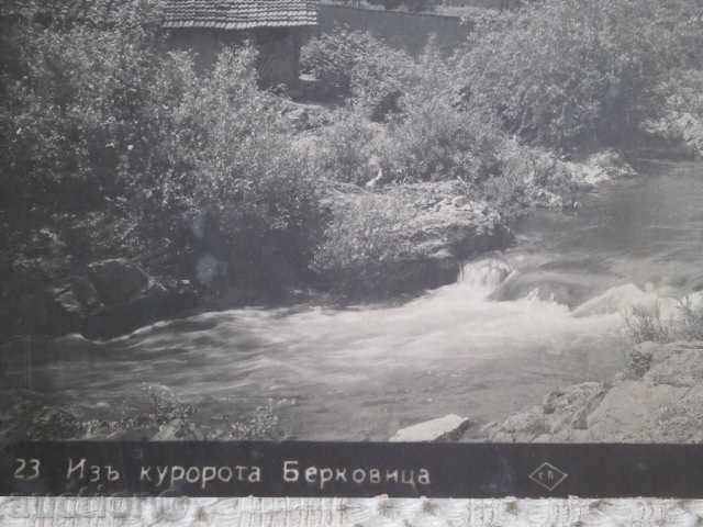 Vedere din stațiunea Berkovitsa, 1929 cu preț 5.00 BGN | € 2.56
