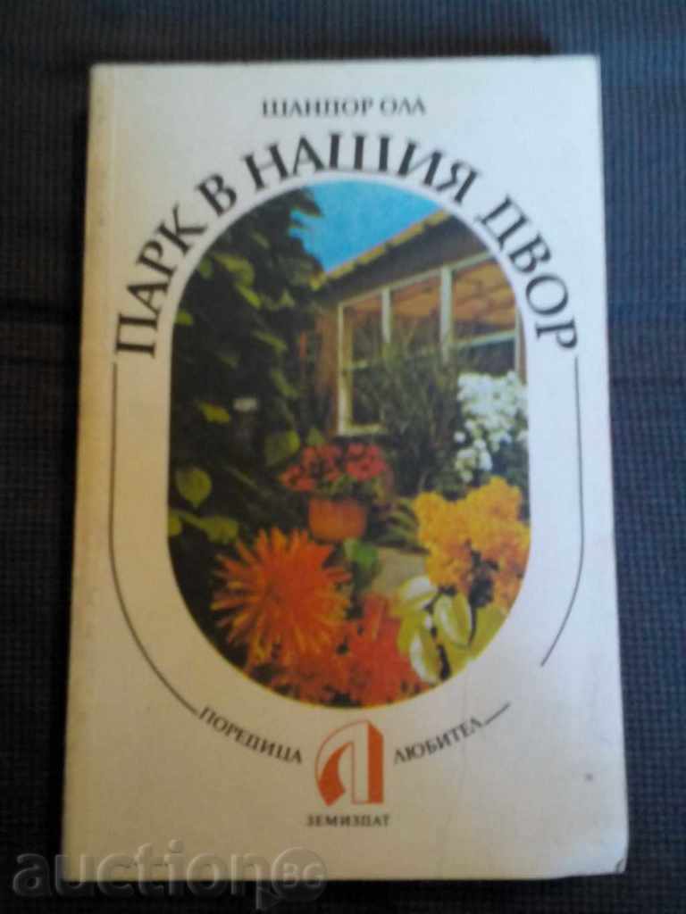 Шандор Ола: Парк в нашия двор