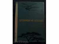 Peter Bobev: Dragon Lualaba Provincia