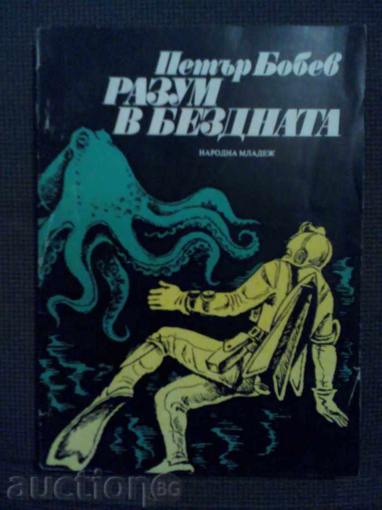 Peter Bobev: Reason in the abyss