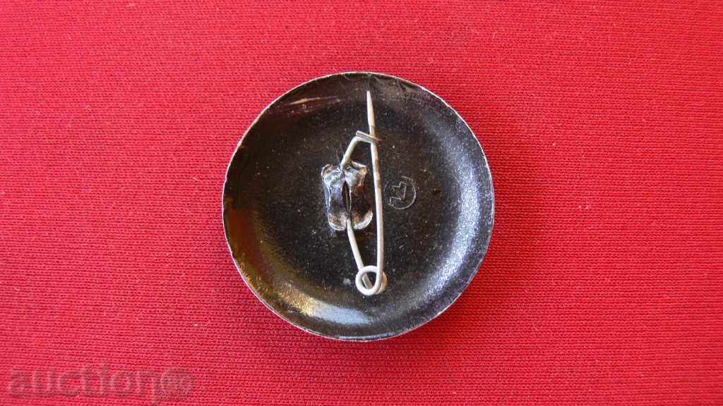 BEAUTIFUL STARA BROSHKA DRAWED ON HAND with price 20.00 BGN | € 10.23