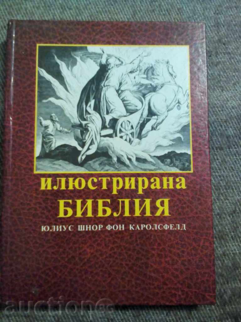 Julius Schnorr von Carolsfeld: ilustrată biblic