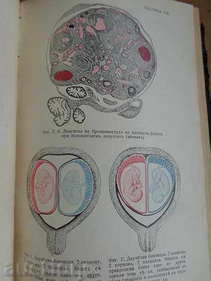 An old book on obstetrics, a textbook - 7 An old book on obstetrics, a textbook - 7