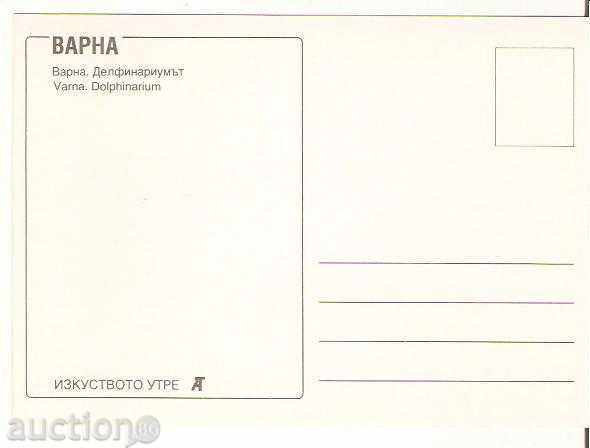 Map Bulgaria Varna Dolphinarium 1 * with price 0.70 BGN | € 0.36 Map Bulgaria Varna Dolphinarium 1 * with price 0.70 BGN | € 0.36