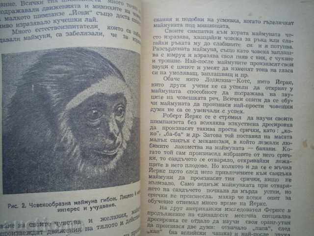 V.K.NIKOLSKI, N.F.YAKOVEV-HOW THE PEOPLE HAVE LEARNED TO SPEAK - 5 V.K.NIKOLSKI, N.F.YAKOVEV-HOW THE PEOPLE HAVE LEARNED TO SPEAK - 5