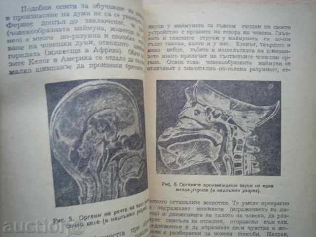 V.K.NIKOLSKI, N.F.YAKOVEV-HOW THE PEOPLE HAVE LEARNED TO SPEAK - 6 V.K.NIKOLSKI, N.F.YAKOVEV-HOW THE PEOPLE HAVE LEARNED TO SPEAK - 6