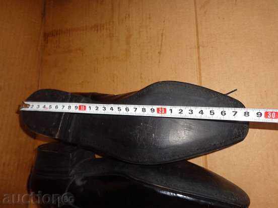 Delivery of Royal Woolen Shoes, Transformers for Chorbadji and Bonvivani