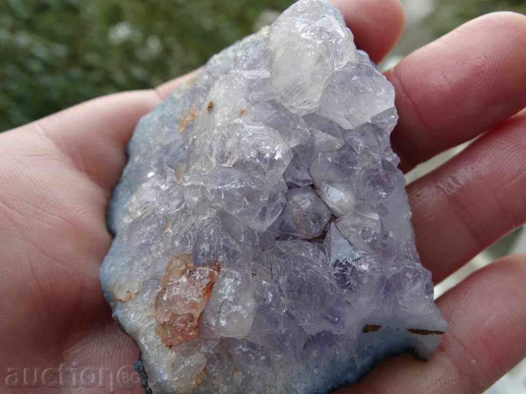 ametist ciorchine -7 cu preț 29.99 BGN | € 15.33