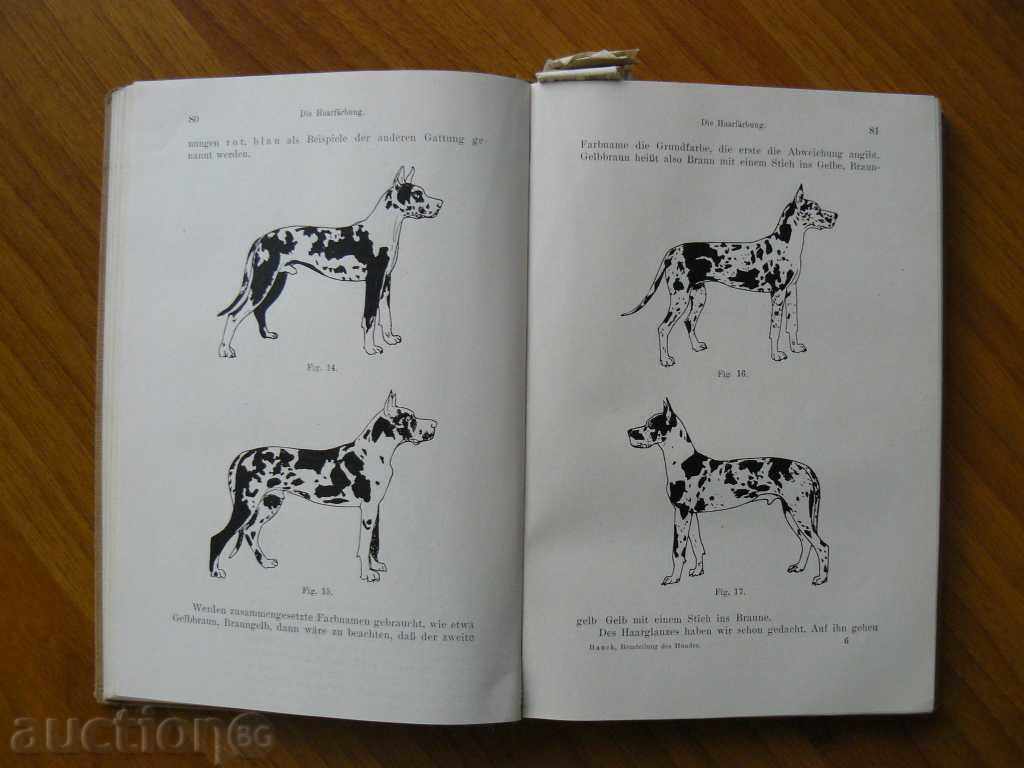 Delivery of 1929 Kinetic guide for judges Delivery of 1929 Kinetic guide for judges