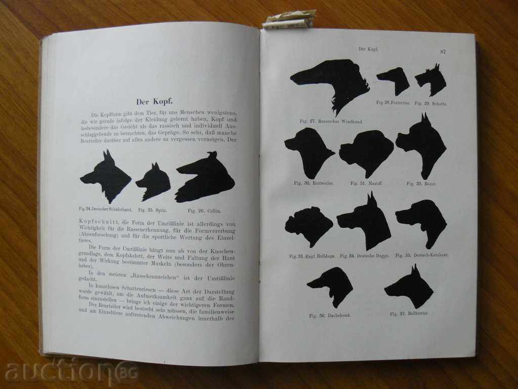 1929 Kinetic guide for judges - 5 1929 Kinetic guide for judges - 5