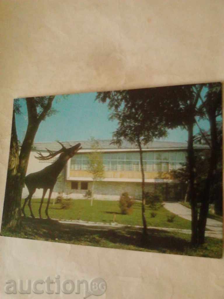 Postcard Velingrad Restaurant Bor 1989