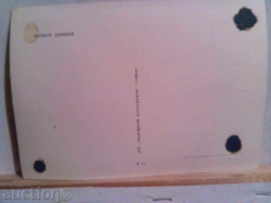 Old card-Lilyana Doneva with price 2.00 BGN | € 1.02