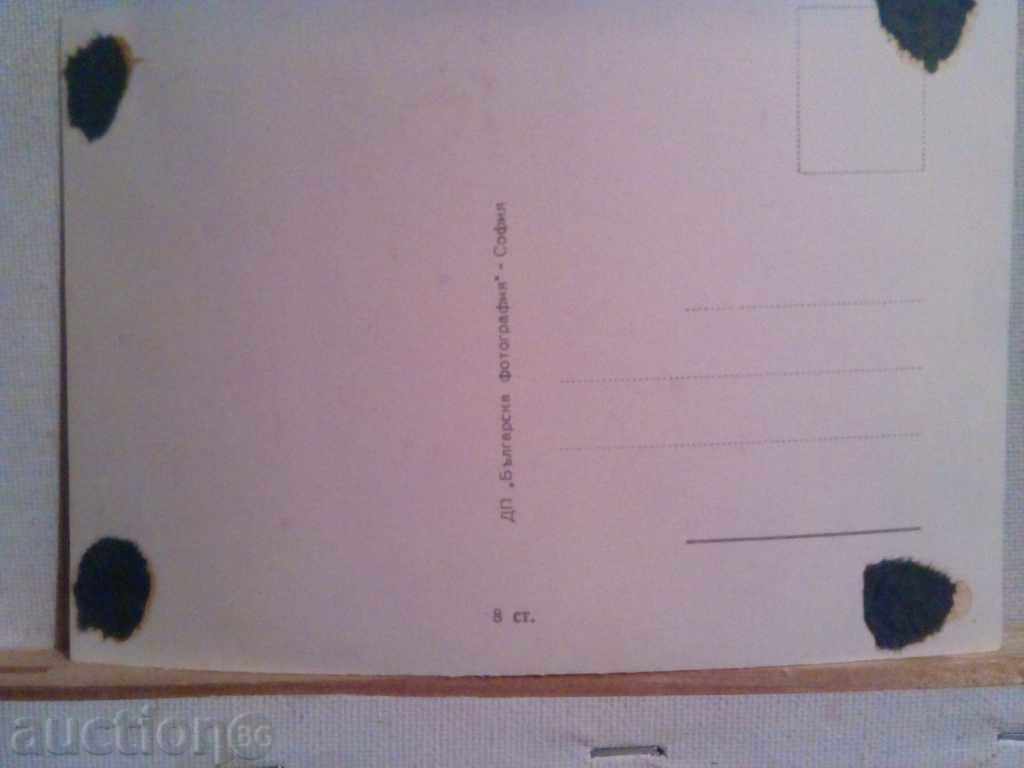 Nevena Kokanova with price 4.00 BGN | € 2.05 Nevena Kokanova with price 4.00 BGN | € 2.05