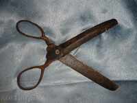 Old Forged Scissors