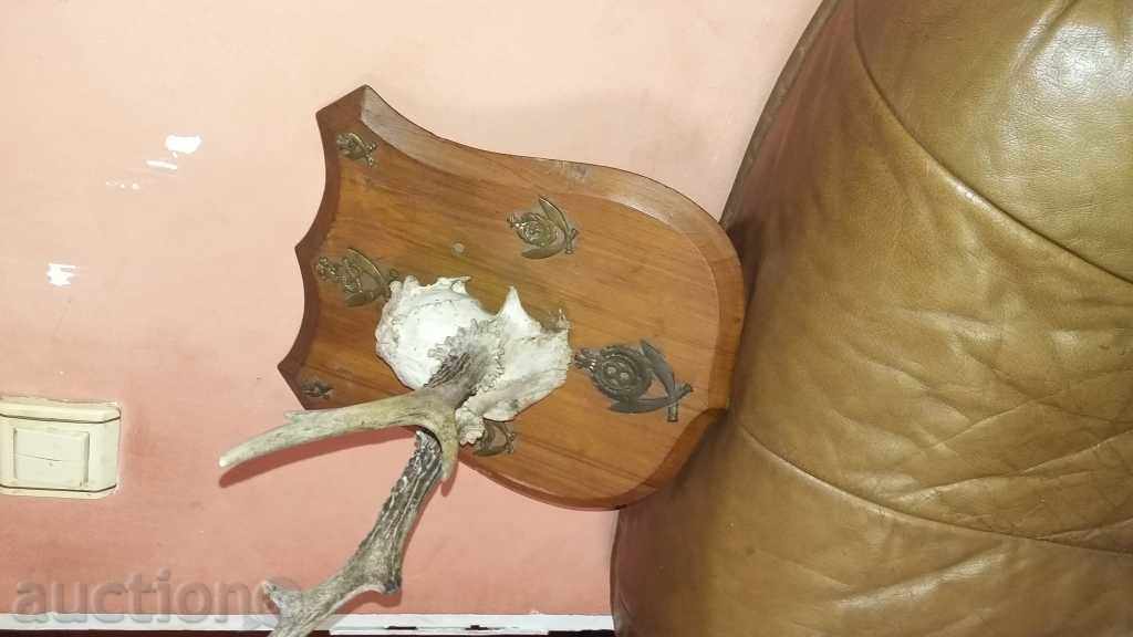 Auction TROPHEY horn horn Auction TROPHEY horn horn