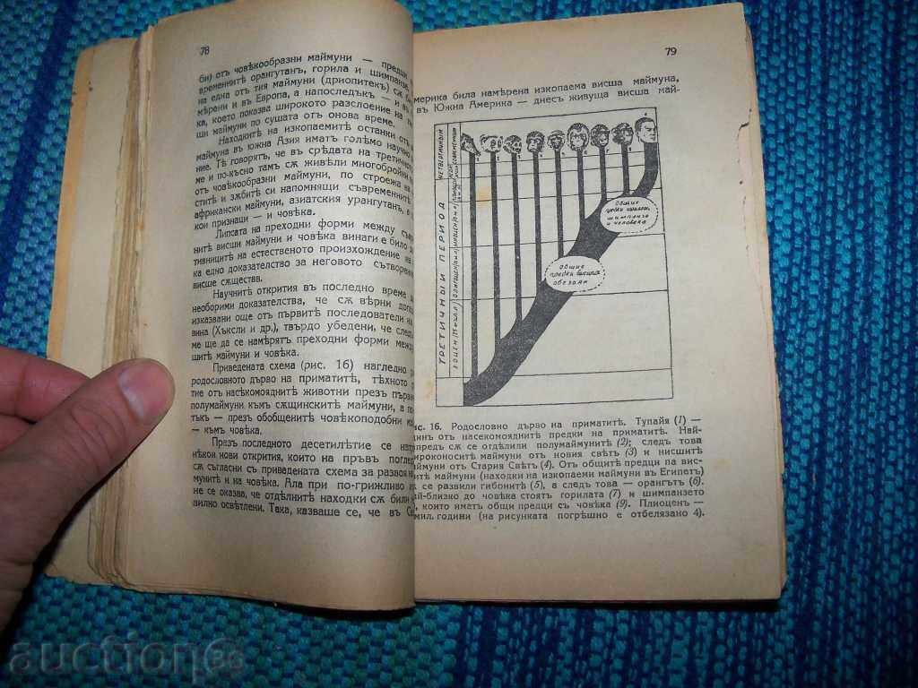 Delivery of "Origin of Man" by B. Vishnevski edition 1937 Delivery of "Origin of Man" by B. Vishnevski edition 1937