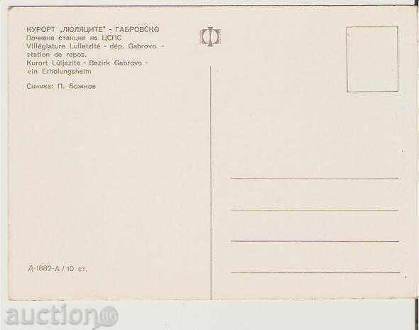 Map Bulgaria Resort Lilacs "Gabrovo Poch.stntsiya3 with price 0.80 BGN | € 0.41 Map Bulgaria Resort Lilacs "Gabrovo Poch.stntsiya3 with price 0.80 BGN | € 0.41