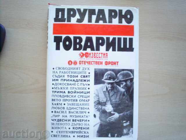 Tovarășul tovarășul-1977, echipa