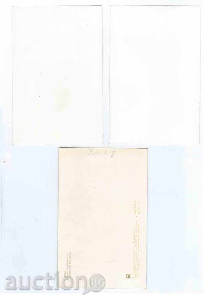 3 CARDS "FLOWERS" with price 1.20 BGN | € 0.61 3 CARDS "FLOWERS" with price 1.20 BGN | € 0.61