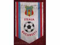 Soccer Flag Steaua